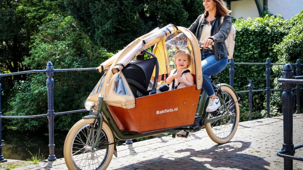 Bakfiets CargoBike Long Steps vélo cargo électrique
