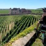 J’ai fait les vignobles de Bourgogne à vélo électrique : entre paysages hypnotiques, visites instructives et repas plus que gourmets