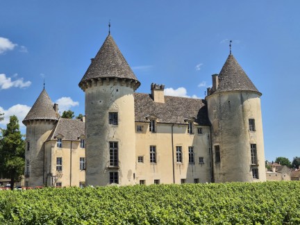 Chateau de Savigny