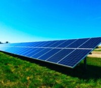 chelsea-WvusC5M-TM8-unsplash