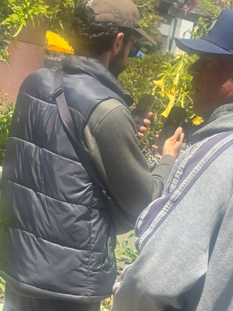 Prototype d'un iPhone 17 dans la nature // Source : Skyfops