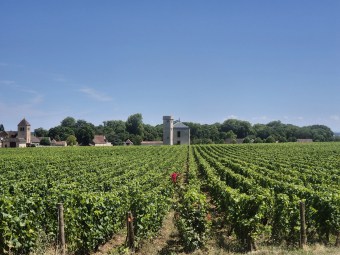 Paysage