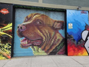 Samsung Galaxy Z Fold 7 caméra principale 005