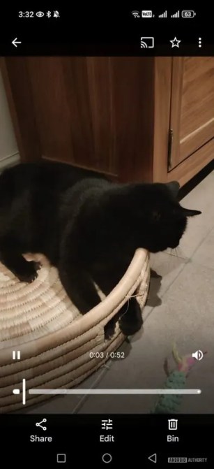 video-of-cat-with-new-google-photos-video-ui-395w-864h.jpg