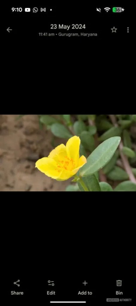 Google-Photos-image-viewer-changes-1-385w-864h.jpg Source : Android Authority