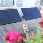 Comparatif Beem On vs Sunology Play2 : voici le match des stations solaires « plug-and-play » nantaises