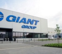 Giant Group