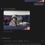 Transformer vos photos avec Gemini Nano-banana : voici le guide pratique et nos conseils de confidentialité Transformer vos photos avec Gemini Nano-banana : voici le guide pratique et nos conseils de confidentialité