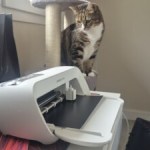 J’ai essayé la Cricut JoyXtra, le cadeau rêvé pour les passionnés de DIY