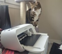 Cricut Joy Xtra Image à la une