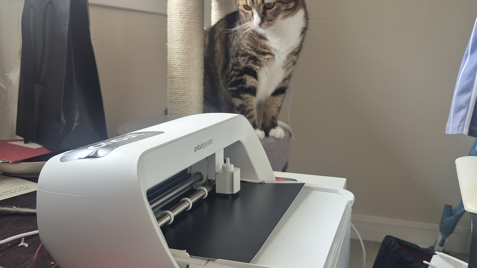 Jâ€™ai essayÃ© la Cricut JoyXtra, le cadeau rÃªvÃ© pour les passionnÃ©s de DIY