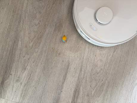 Roborock QRevo Curv S5X