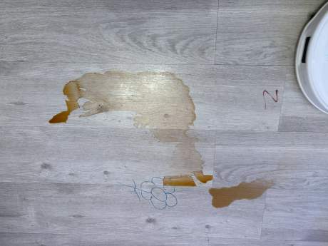 Roborock QRevo Curv S5X