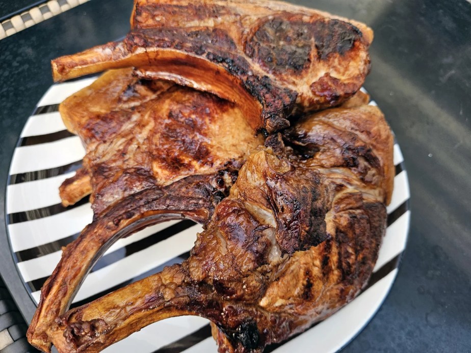 Ninja Woodfire pro Connect Xl cuissons (22)