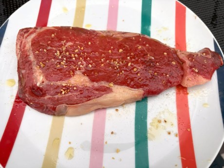 Ninja Woodfire pro Connect Xl cuissons (7)