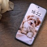 oppo reno 14 5g 1