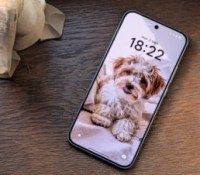 oppo reno 14 5g 1 oppo reno 14 5g 1