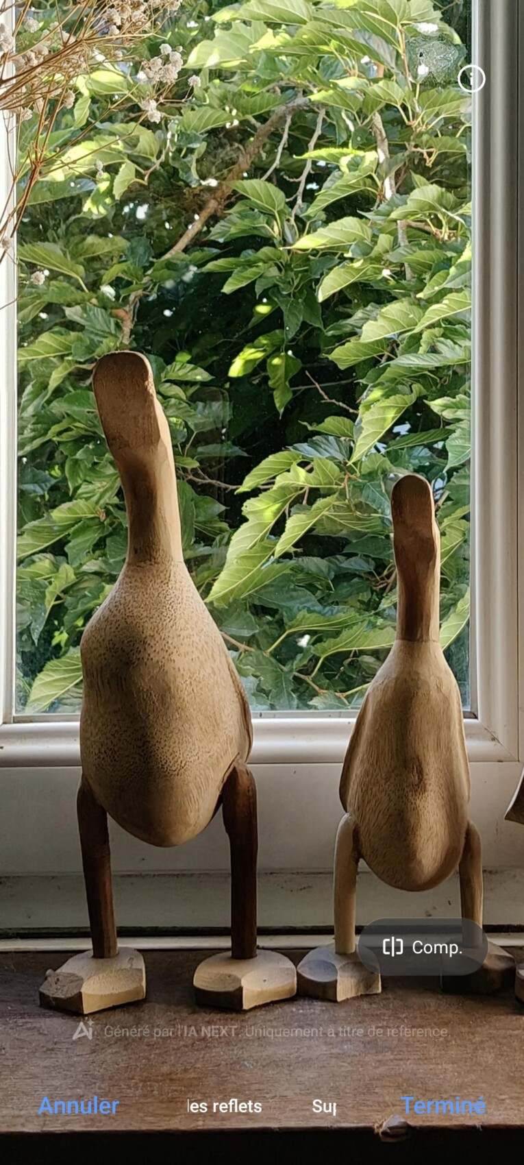 Gommg magique - Avant