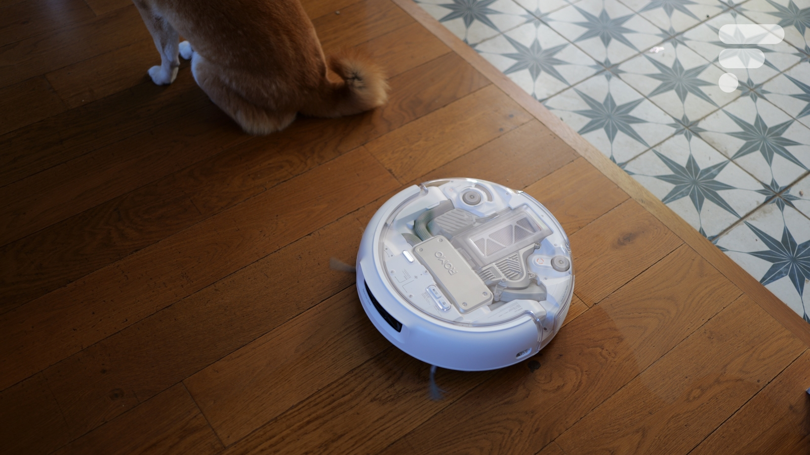 Test du DJI Romo P : le maître du ciel s’attaque au sol