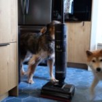Test du Dreame H15 Mix : on a testé l’aspirateur 7-en-1 qui remplace tous vos appareils