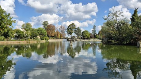 Galaxy S25 FE - GA 7