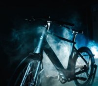 Le vélo électrique Gazelle Cayo // Source : Gazelle