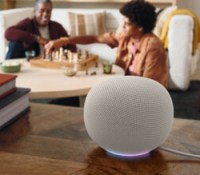 Google Home Speaker // Source : Google