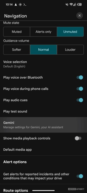google-maps-gemini-assembledebug-3-1000w-2223h.png
