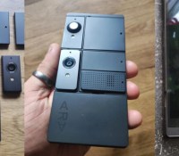 Source : TikTok / @racoondetectionsquad Source : TikTok / @racoondetectionsquad