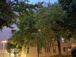 IMG_0071