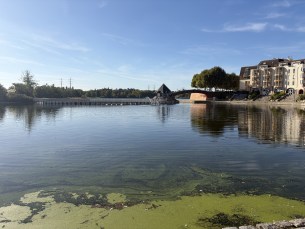 IMG_0101