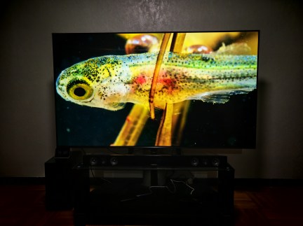 IMG_20250930_193924 Source : Cédric C. pour Frandroid