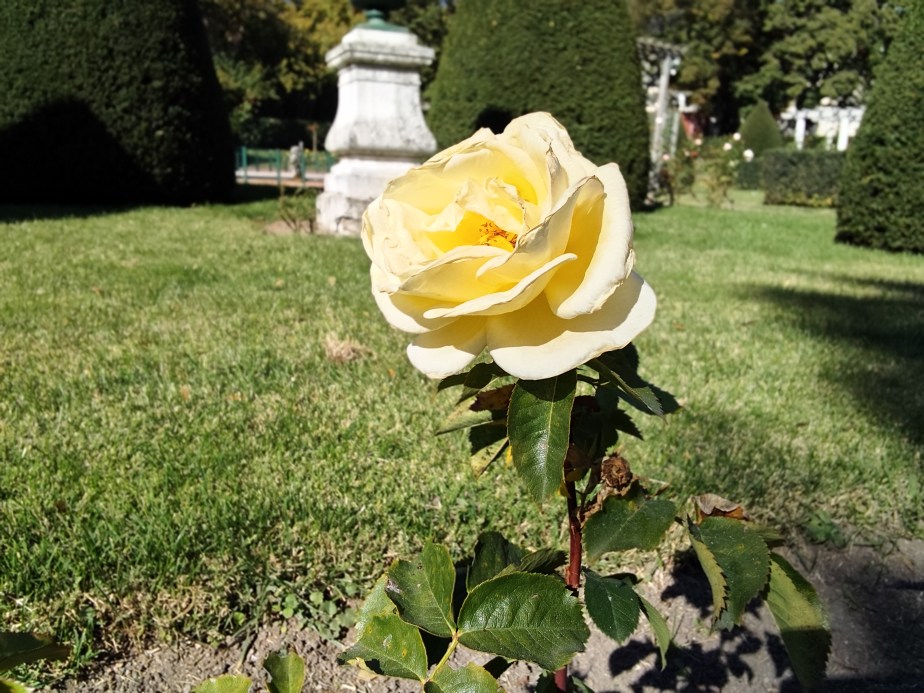IMG_20251018_140744 IMG_20251018_140744