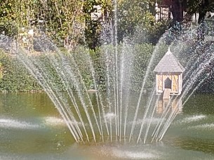 IMG_20251018_142733 IMG_20251018_142733
