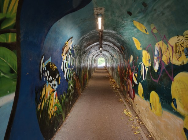 IMG20251024145521 oplus_3145728