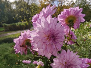 IMG20251024150045 copie oplus_3145728