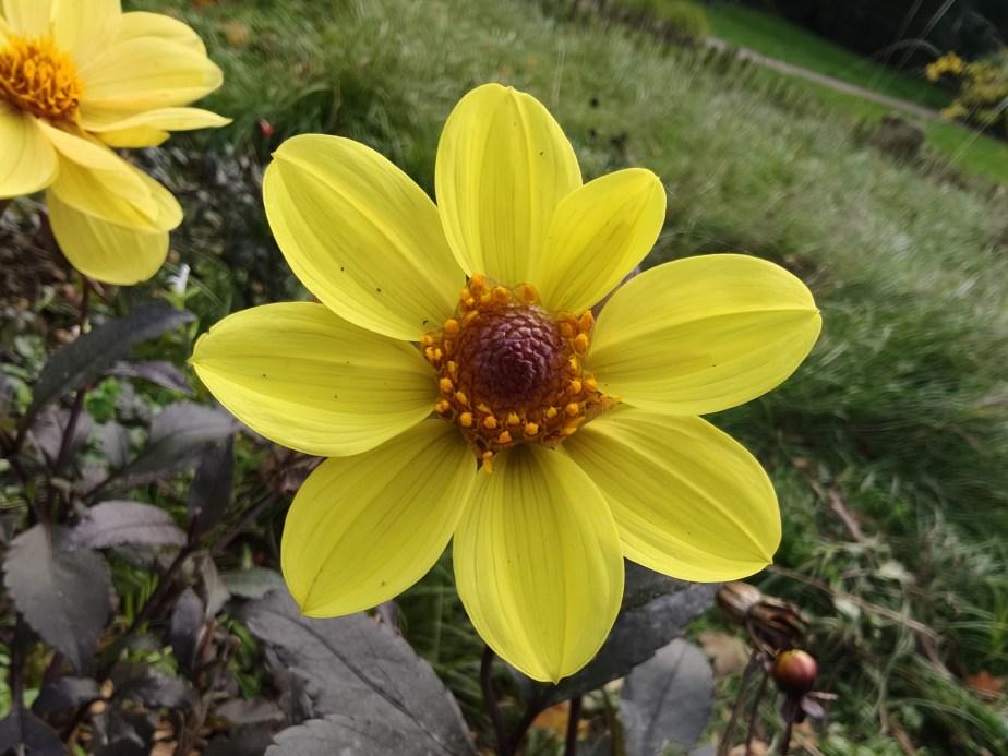 IMG20251024150302 oplus_3145728