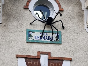 IMG20251024153520 oplus_3145728