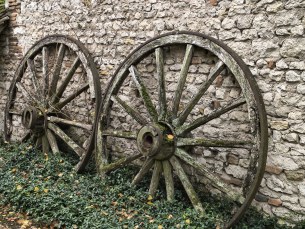 moto G86 - zoom 2x (2)