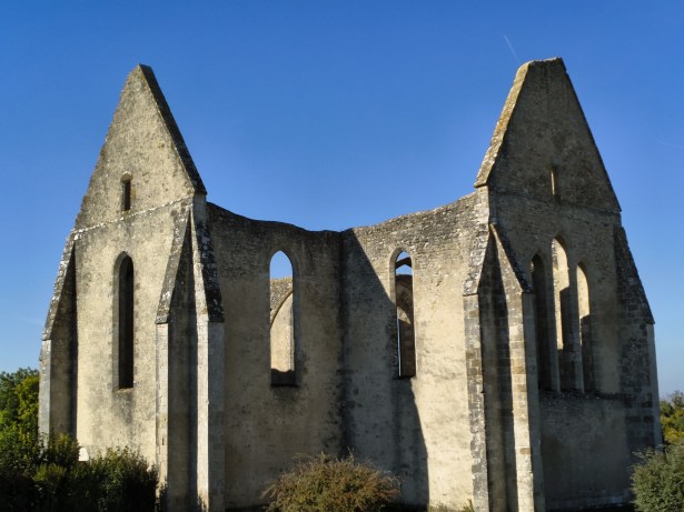 moto G86 - zoom 2x (6)