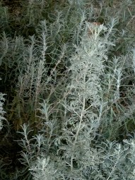 PXL_20251007_204031230