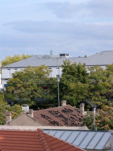 PXL_20251008_133018710