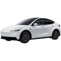 Tesla Model Y Propulsion (Standard)
