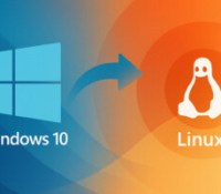 W10-Linux