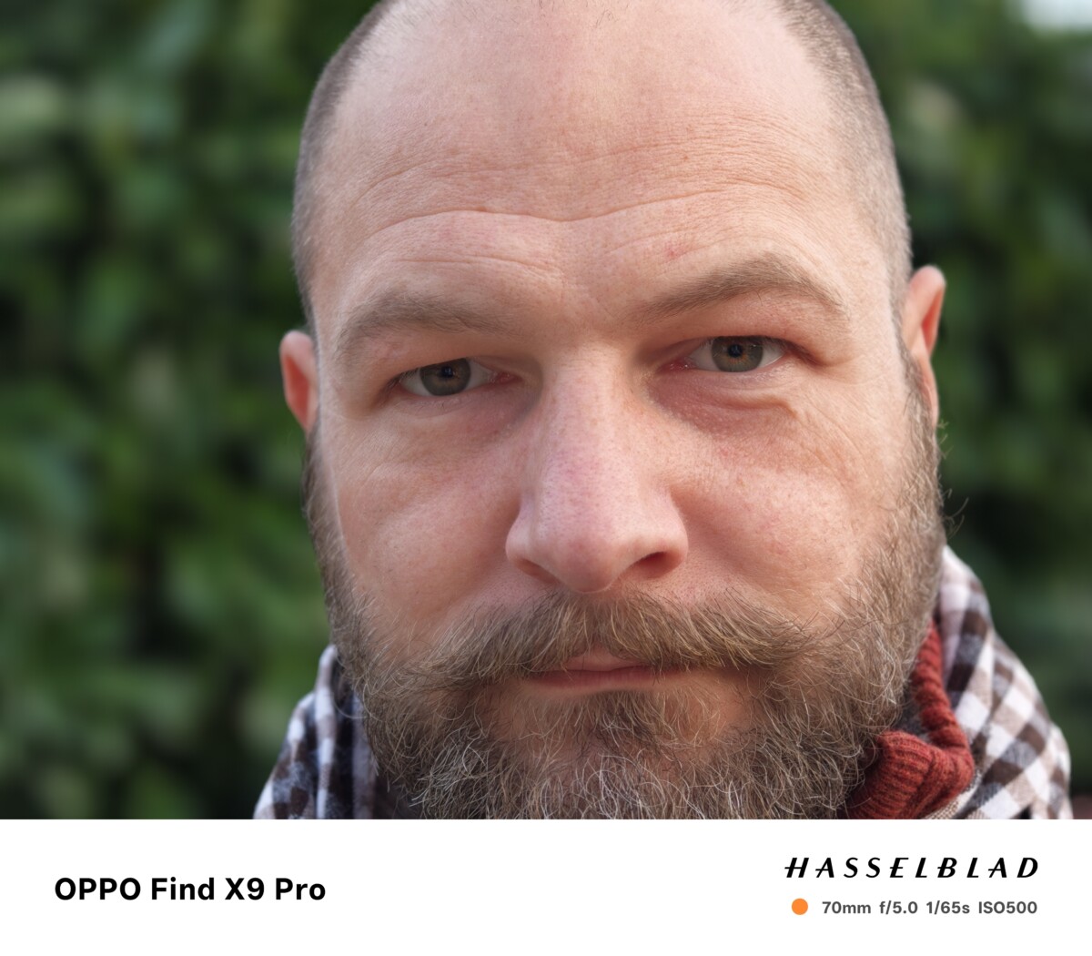 oplus_137429008 oplus_137429008