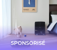 Roborock lance le Black Friday avec remises historiques sur ses meilleurs aspirateurs-robots