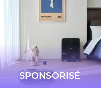 避开宠物20241212石头科技39384