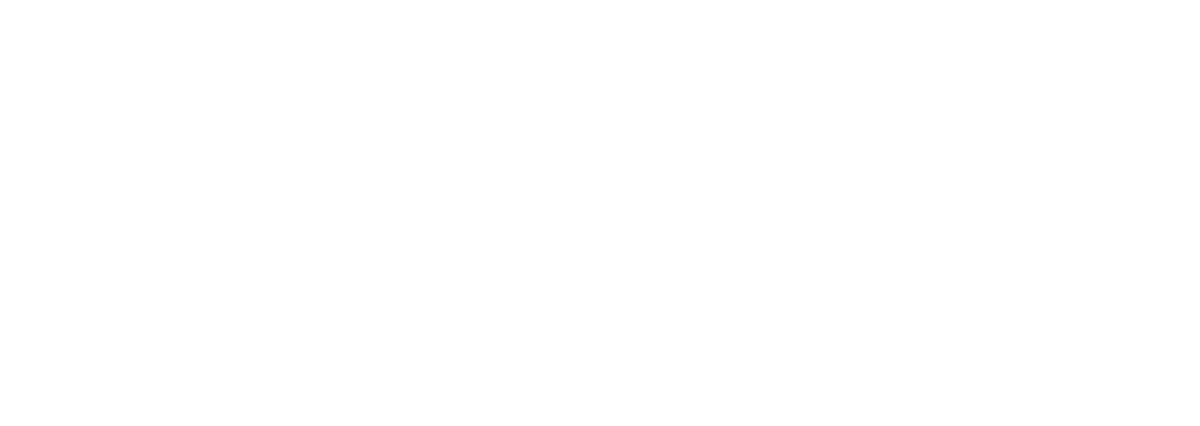 AliExpress logo white