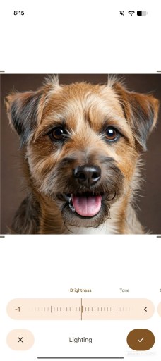 Source : Android Authority