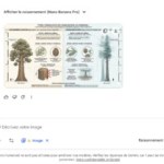 Google a résolu le problème du texte dans les images : on a testé Nano Banana Pro, c’est bluffant